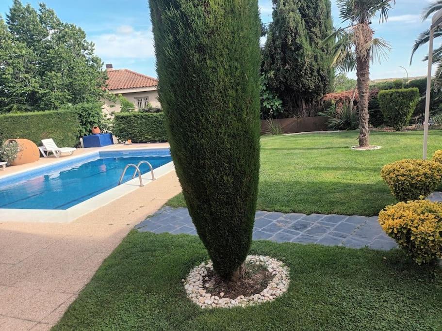 Madrid City Modern Apartment In Villa, Free Wifi Арройомолинос Экстерьер фото